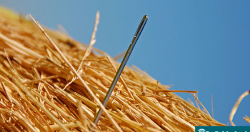 Rastreamento do câncer de intestino - Por Dr Fabio Atui