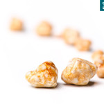 Tratamento para pedra na vesícula biliar - Por Dr Fabio Atui