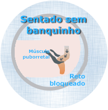 Intestino Preso - Por Dr Fabio Atui - Cirurgia do Aparelho Digestivo e Coloproctologista