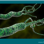O que é H. Pylori? - Dr. Fabio Atui