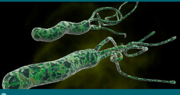 O que é H. Pylori? - Dr. Fabio Atui