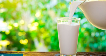 Como detecta a intolerância à lactose? - Por Dr Fabio Atui
